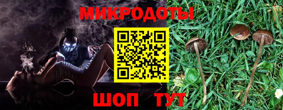 Галлюциногенные грибы ЛСД Дивногорск